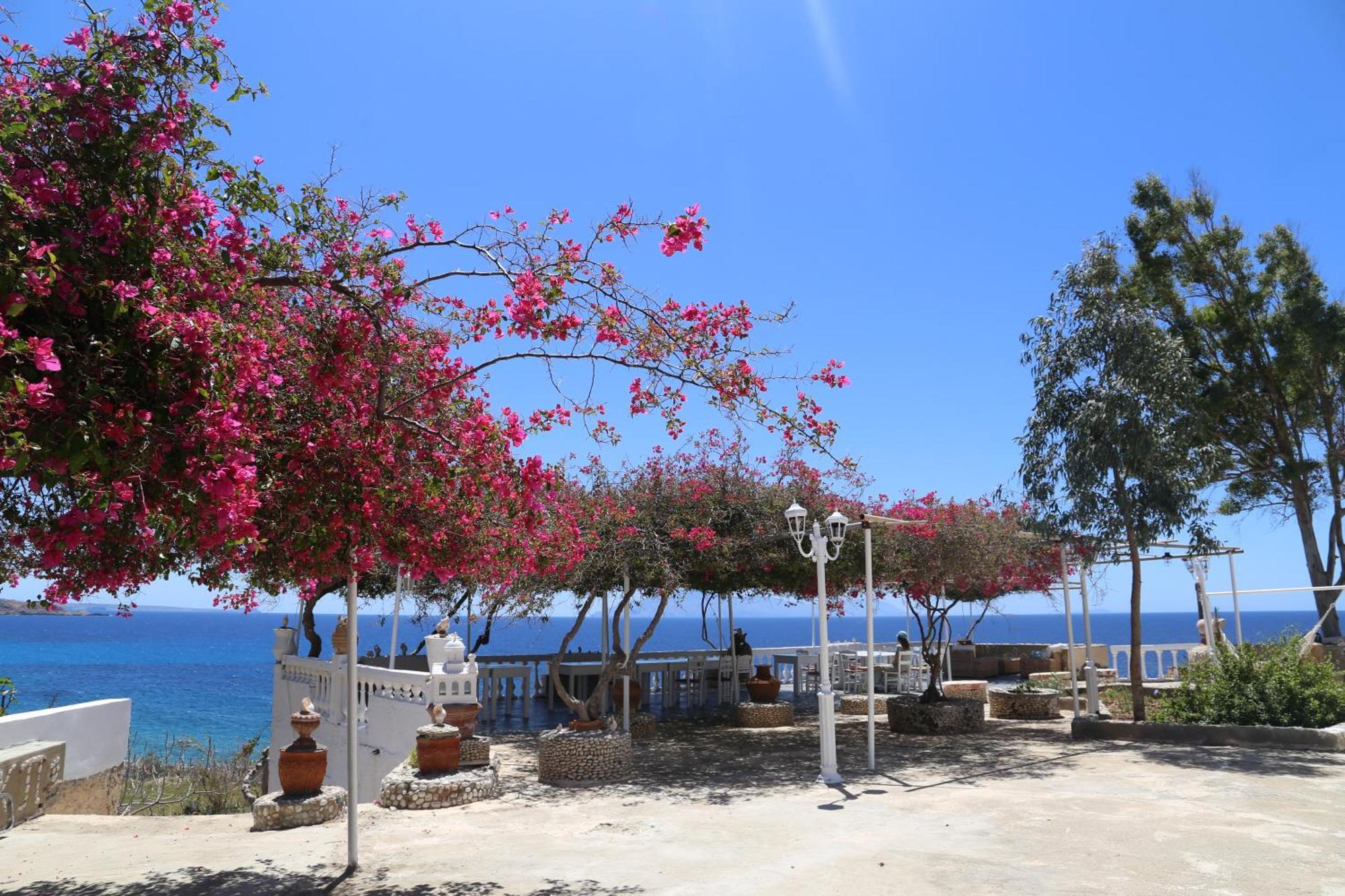 아디아 Kathys Island Retreat 아파트 호텔 외부 사진